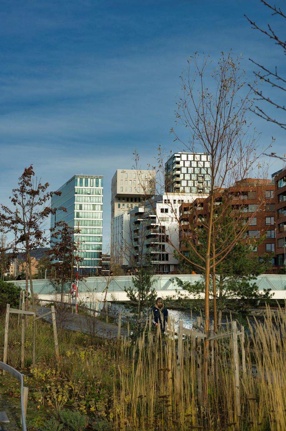 Arbutus Urban Development