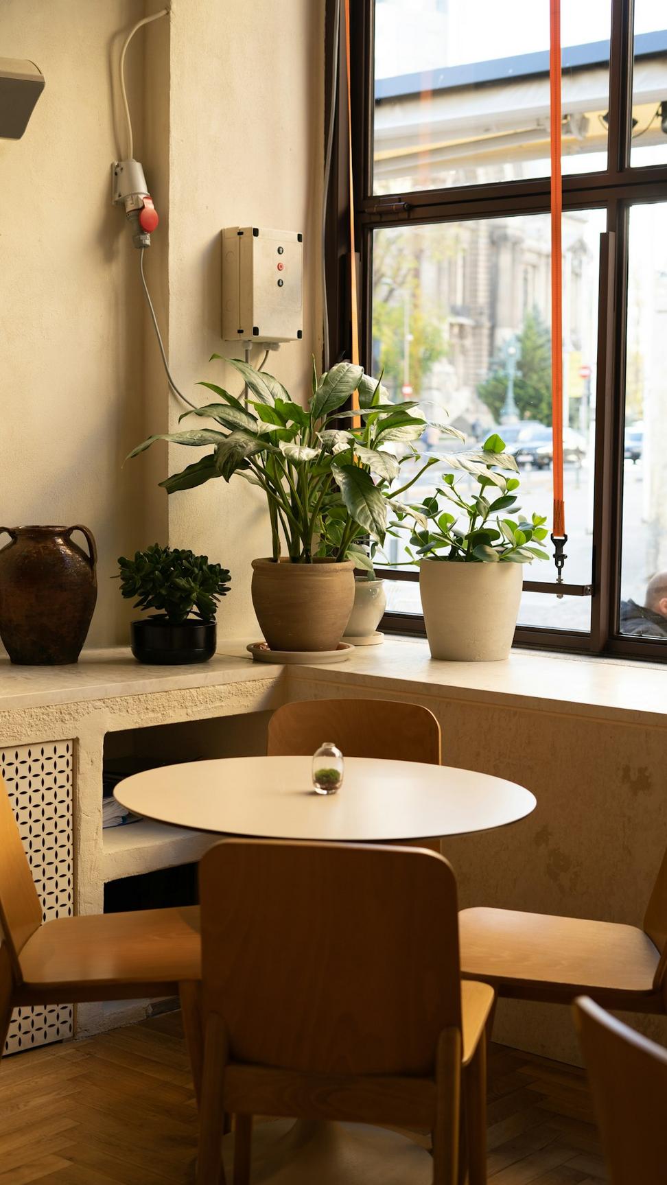 Farm-to-Table Restaurant